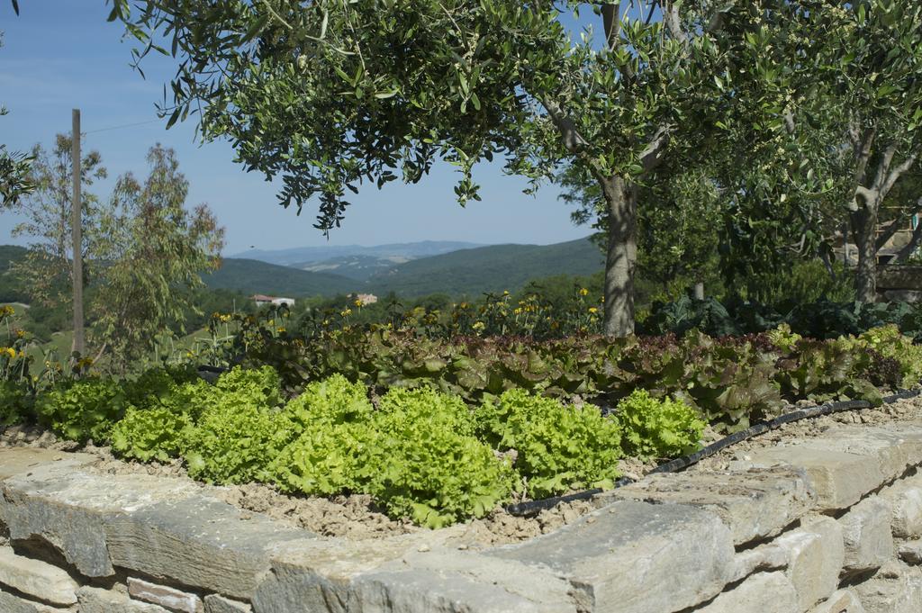 Villa Agriturismo Erta à Casole dʼElsa Extérieur photo