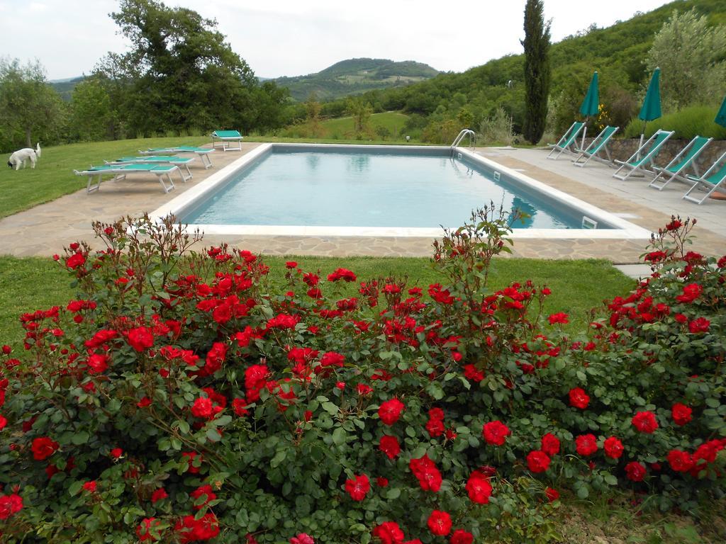 Villa Agriturismo Erta à Casole dʼElsa Extérieur photo