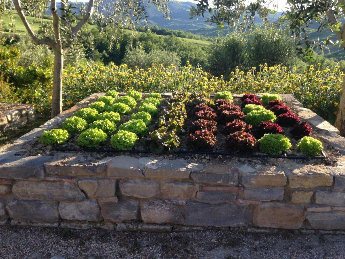 Villa Agriturismo Erta à Casole dʼElsa Extérieur photo
