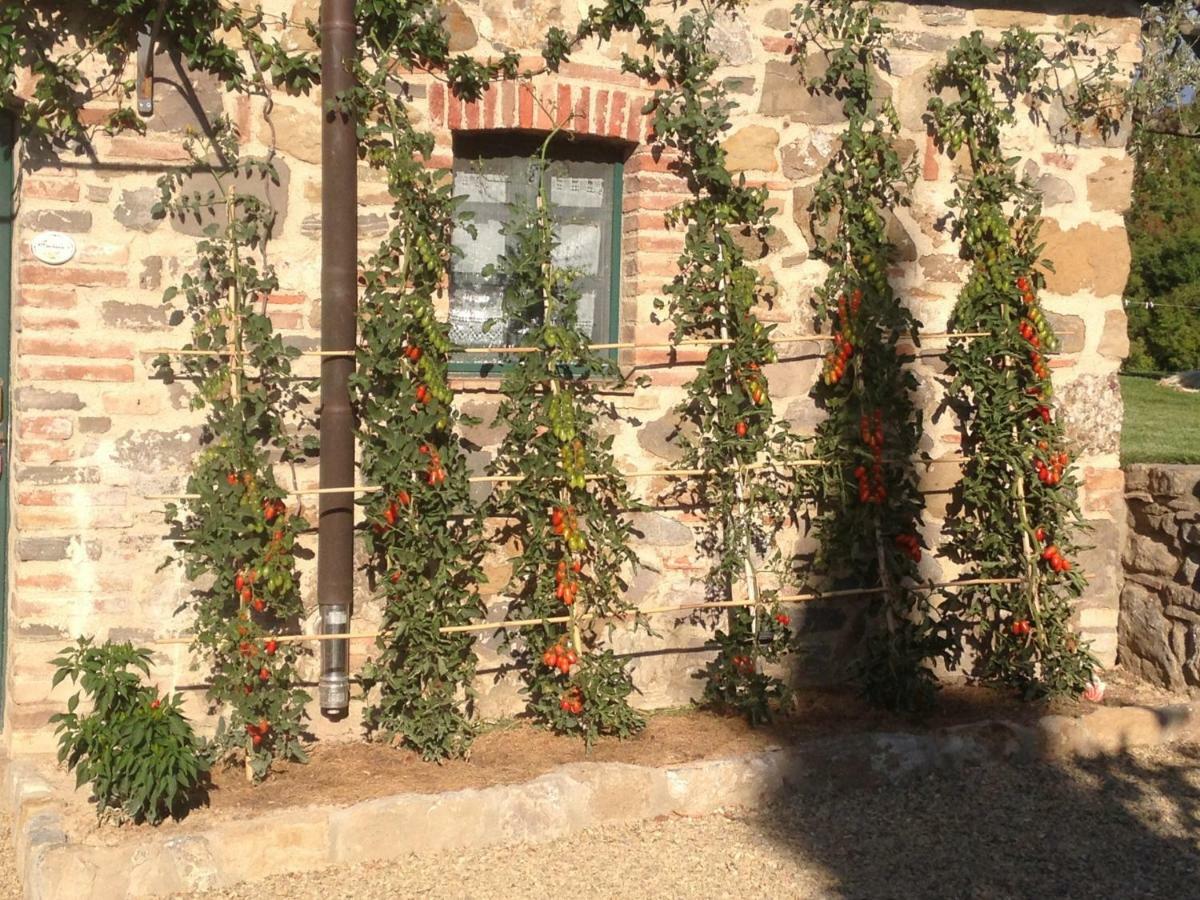 Villa Agriturismo Erta à Casole dʼElsa Extérieur photo